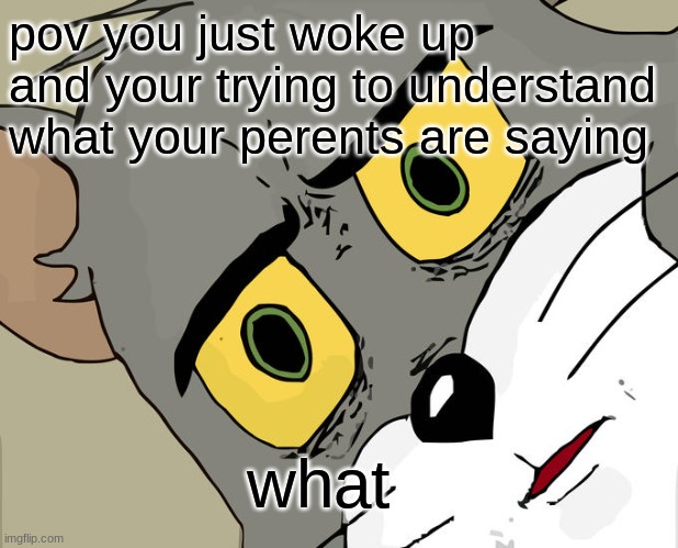 true | pov you just woke up and your trying to understand what your perents are saying; what | image tagged in memes,unsettled tom | made w/ Imgflip meme maker