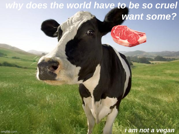 cow | why does the world have to be so cruel; want some? i am not a vegan | image tagged in cow | made w/ Imgflip meme maker