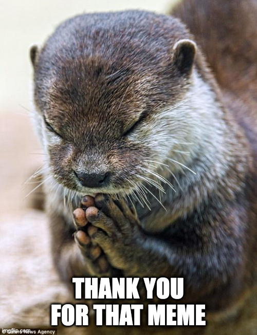 Thank you Lord Otter | THANK YOU FOR THAT MEME | image tagged in thank you lord otter | made w/ Imgflip meme maker