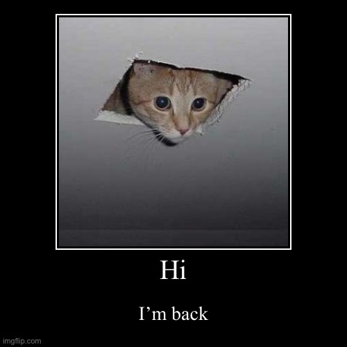 Yes, I’m back from summer vacation | Hi | I’m back | image tagged in funny,demotivationals,cats,school | made w/ Imgflip demotivational maker