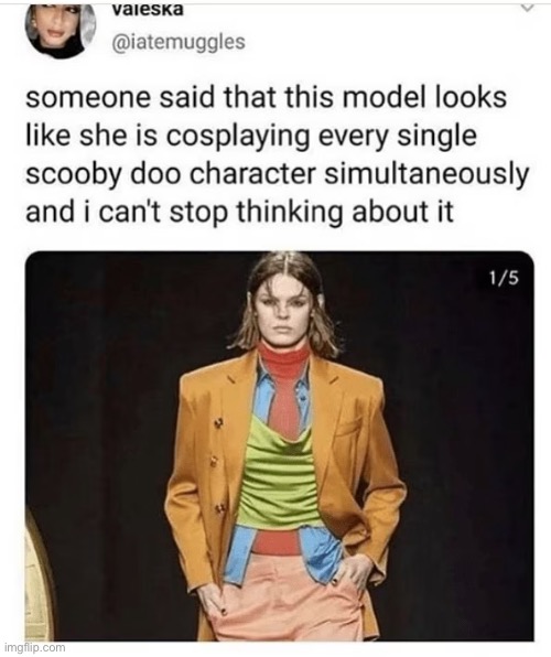image tagged in scooby doo,model,velma,shaggy,fred | made w/ Imgflip meme maker