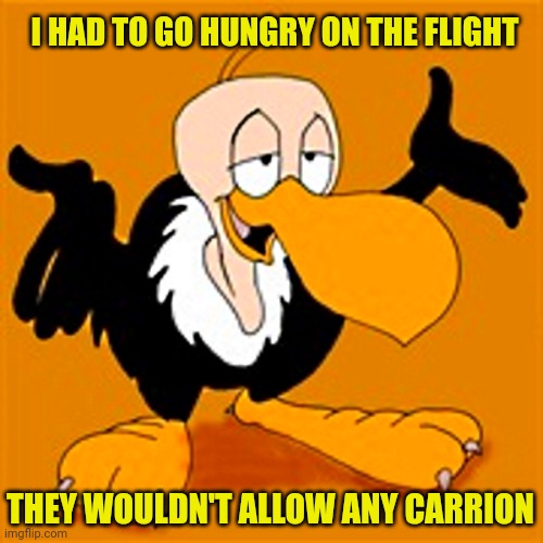 buzzard | I HAD TO GO HUNGRY ON THE FLIGHT; THEY WOULDN'T ALLOW ANY CARRION | image tagged in buzzard,dad joke,sully groan,facepalm | made w/ Imgflip meme maker
