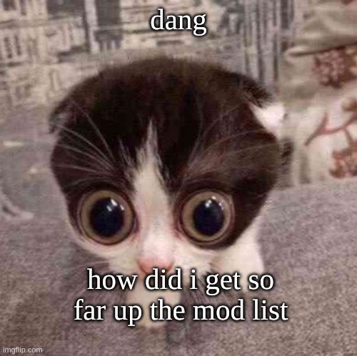 does this make me popular | dang; how did i get so far up the mod list | image tagged in cat | made w/ Imgflip meme maker