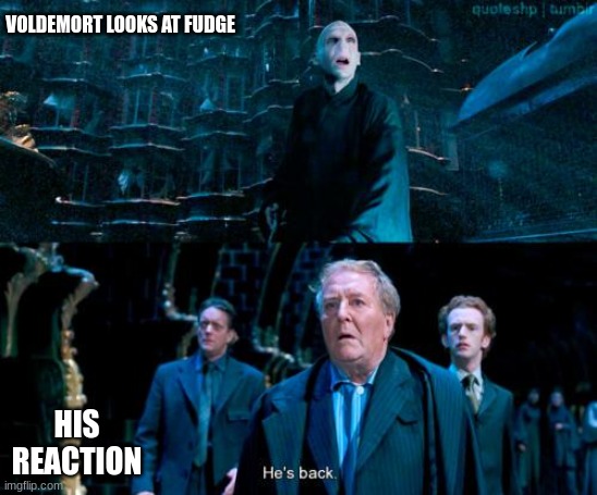 Oh FUDGE | VOLDEMORT LOOKS AT FUDGE; HIS REACTION | image tagged in he's back | made w/ Imgflip meme maker