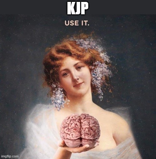 KJP | image tagged in brain | made w/ Imgflip meme maker