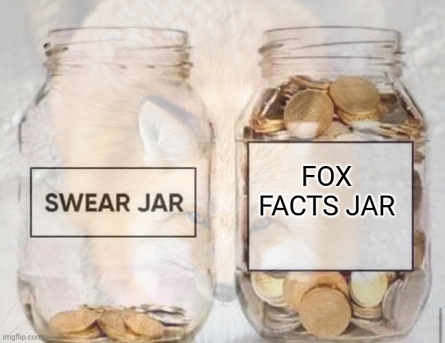 Important fox memes | FOX FACTS JAR | image tagged in important,fox,memes | made w/ Imgflip meme maker