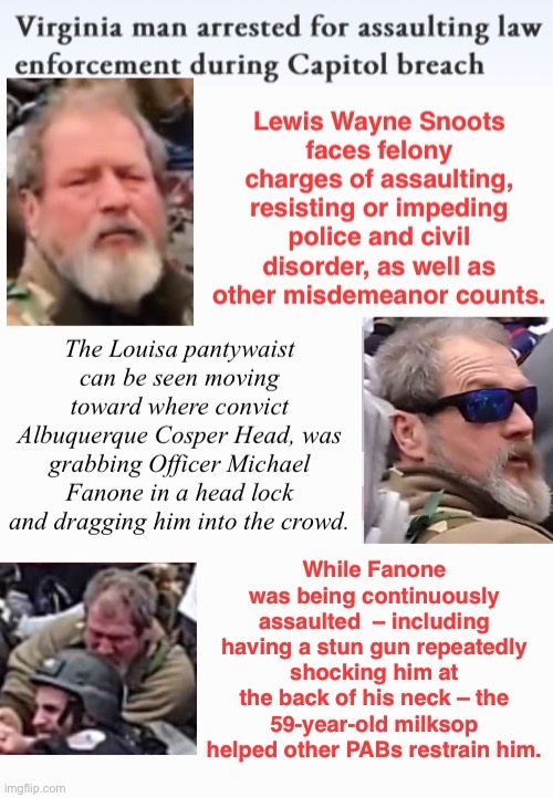 Lee Wayne Snoots arrested | image tagged in assault,safety in numbers,treason,domestic terrorists,group vs one,loser | made w/ Imgflip meme maker