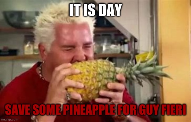 Or night depending wher you live | IT IS DAY; SAVE SOME PINEAPPLE FOR GUY FIERI | made w/ Imgflip meme maker