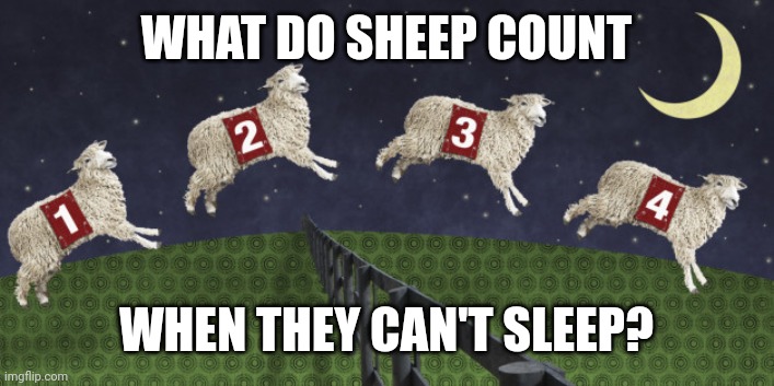 Counting sheep - Imgflip