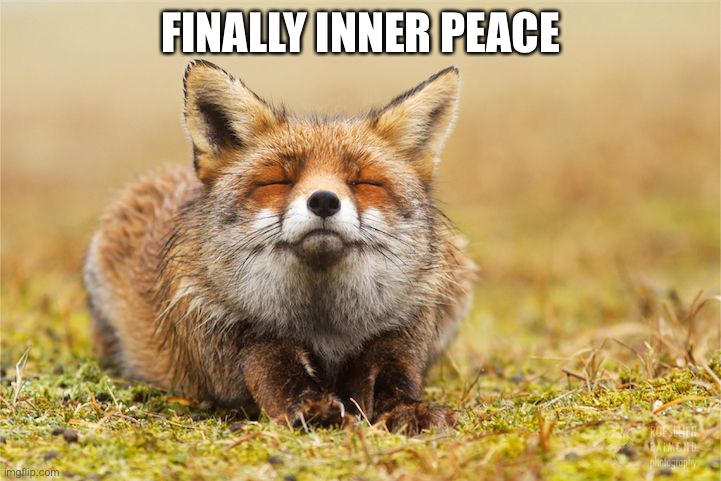Inner Peace Fox | FINALLY INNER PEACE | image tagged in inner peace fox | made w/ Imgflip meme maker