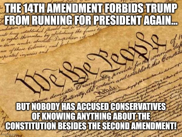 Anti constitutional | THE 14TH AMENDMENT FORBIDS TRUMP FROM RUNNING FOR PRESIDENT AGAIN... BUT NOBODY HAS ACCUSED CONSERVATIVES OF KNOWING ANYTHING ABOUT THE CONSTITUTION BESIDES THE SECOND AMENDMENT! | image tagged in constitution,conservative,republican,democrat,liberal,trump | made w/ Imgflip meme maker