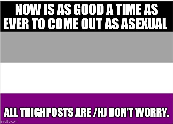 asexual flag | NOW IS AS GOOD A TIME AS EVER TO COME OUT AS ASEXUAL; ALL THIGHPOSTS ARE /HJ DON’T WORRY. | image tagged in asexual flag | made w/ Imgflip meme maker