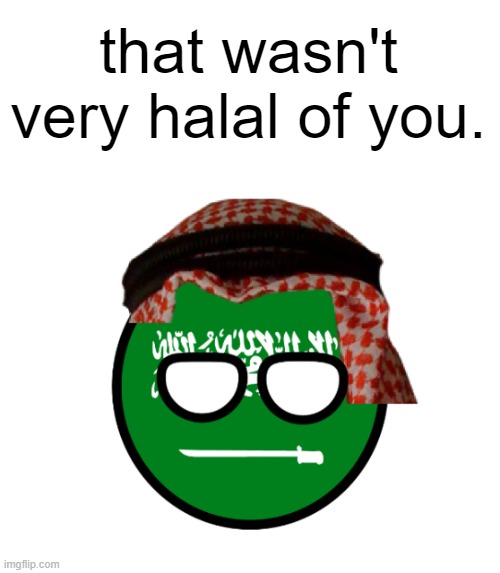 that wasn't very halal of you. | made w/ Imgflip meme maker