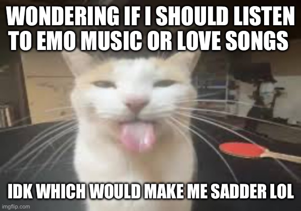 Cat | WONDERING IF I SHOULD LISTEN TO EMO MUSIC OR LOVE SONGS; IDK WHICH WOULD MAKE ME SADDER LOL | image tagged in cat | made w/ Imgflip meme maker