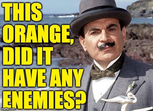 THIS
ORANGE,
DID IT
HAVE ANY
ENEMIES? | made w/ Imgflip meme maker