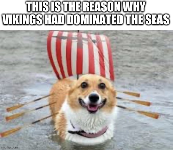 Corgo Ship | THIS IS THE REASON WHY VIKINGS HAD DOMINATED THE SEAS | image tagged in corgo ship | made w/ Imgflip meme maker