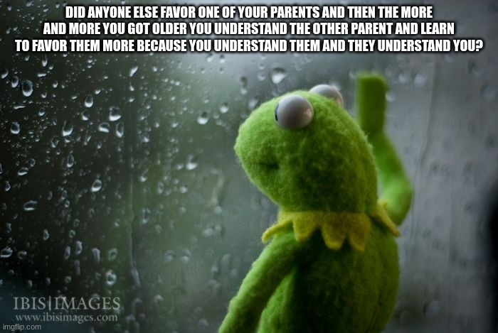 i miss being a child where we didnt have to care about pronouns or genders, we could just be kids | DID ANYONE ELSE FAVOR ONE OF YOUR PARENTS AND THEN THE MORE AND MORE YOU GOT OLDER YOU UNDERSTAND THE OTHER PARENT AND LEARN TO FAVOR THEM MORE BECAUSE YOU UNDERSTAND THEM AND THEY UNDERSTAND YOU? | image tagged in kermit window | made w/ Imgflip meme maker