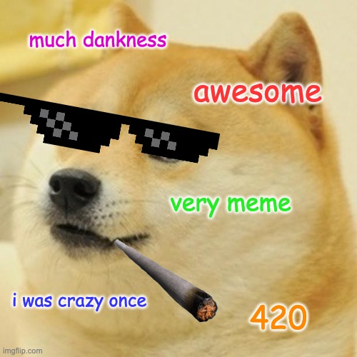 TURN DOWN FOR WHAT???!?! i have no idea. bruh | much dankness; awesome; very meme; i was crazy once; 420 | image tagged in memes,doge | made w/ Imgflip meme maker