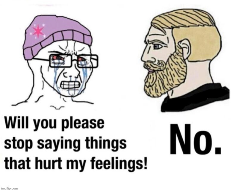 Will you please stop saying things that hurt my feelings!? | image tagged in soyboy vs yes chad,virgin vs chad,sjw triggered,angry sjw,liberal tears,butthurt liberals | made w/ Imgflip meme maker