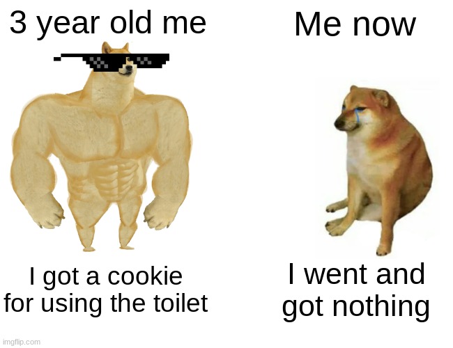 Oh I miss those days | 3 year old me; Me now; I got a cookie for using the toilet; I went and got nothing | image tagged in memes,buff doge vs cheems | made w/ Imgflip meme maker