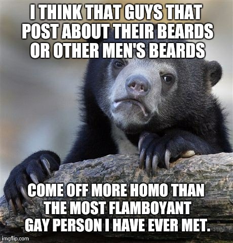 Confession Bear | I THINK THAT GUYS THAT POST ABOUT THEIR BEARDS OR OTHER MEN'S BEARDS COME OFF MORE HOMO THAN THE MOST FLAMBOYANT GAY PERSON I HAVE EVER MET. | image tagged in memes,confession bear,AdviceAnimals | made w/ Imgflip meme maker