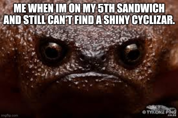 A N G R Y | ME WHEN IM ON MY 5TH SANDWICH AND STILL CAN'T FIND A SHINY CYCLIZAR. | image tagged in angey,pokemon,scarlet,violet,cyclizar,dragon pokemon | made w/ Imgflip meme maker