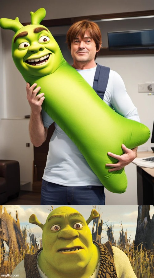 SCARY SHREK PILLOW | image tagged in cursed image,shrek | made w/ Imgflip meme maker