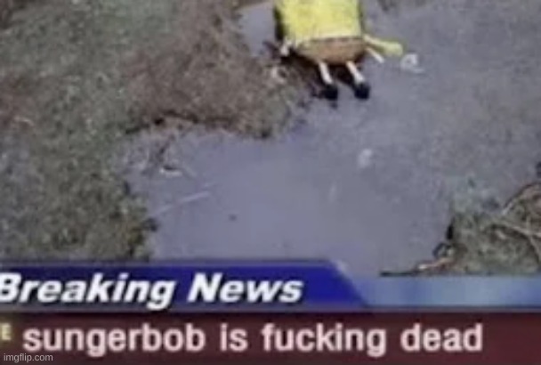 sungerbob is fucking dead | image tagged in image tags | made w/ Imgflip meme maker