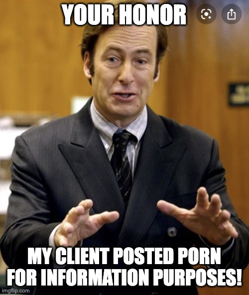 Your Honor, | YOUR HONOR MY CLIENT POSTED PORN FOR INFORMATION PURPOSES! | image tagged in your honor | made w/ Imgflip meme maker