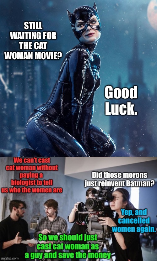 Why there are few good movies | STILL WAITING FOR THE CAT WOMAN MOVIE? Good Luck. | image tagged in cat woman,woke movie industry,cancelling women | made w/ Imgflip meme maker