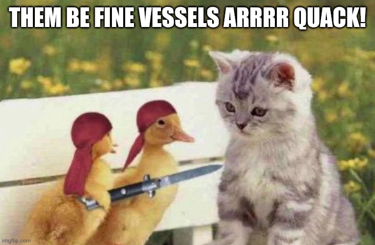 Pirate ducks | THEM BE FINE VESSELS ARRRR QUACK! | image tagged in pirate ducks | made w/ Imgflip meme maker