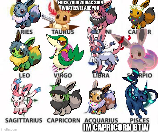 FRICK YOUR ZODIAC SIGN
WHAT EEVEE ARE YOU; IM CAPRICORN BTW | made w/ Imgflip meme maker