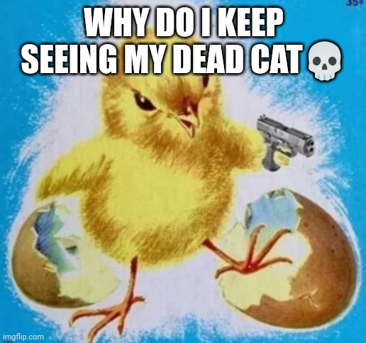 badass chick | WHY DO I KEEP SEEING MY DEAD CAT💀 | image tagged in badass chick | made w/ Imgflip meme maker