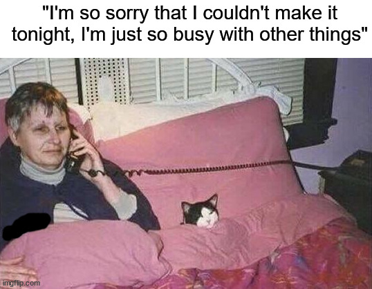 Some days you just want to stay home ╯︿╰ | "I'm so sorry that I couldn't make it tonight, I'm just so busy with other things" | image tagged in memes,funny,true story,relatable memes,busy,life | made w/ Imgflip meme maker
