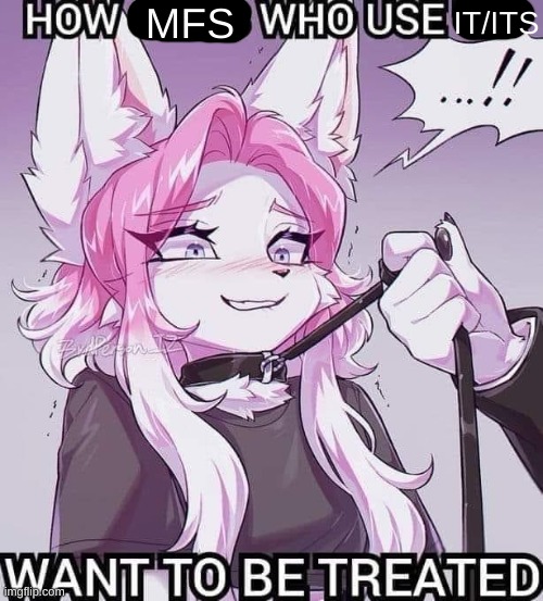 those pronouns disgust me ngl | MFS; IT/ITS | image tagged in how girls that use 3 want to be treated blank | made w/ Imgflip meme maker