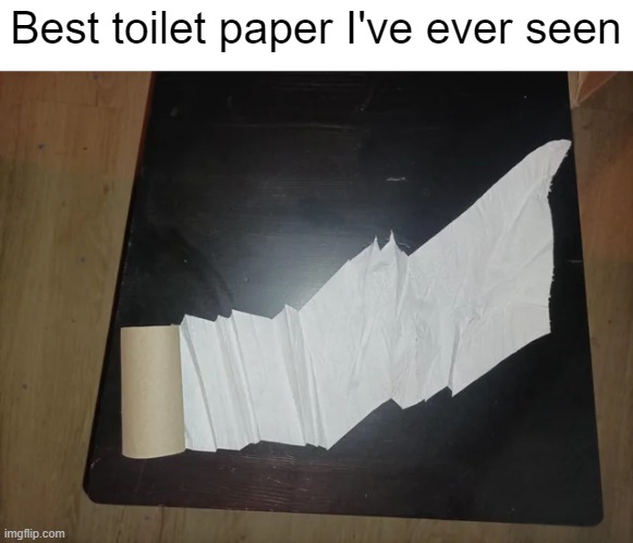 Best toilet paper I've ever seen | Best toilet paper I've ever seen | image tagged in you had one job,toilet paper,memes,funny | made w/ Imgflip meme maker
