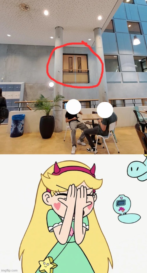 image tagged in star butterfly severe facepalm,you had one job,star vs the forces of evil,memes | made w/ Imgflip meme maker