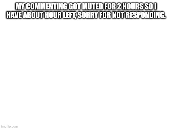 MY COMMENTING GOT MUTED FOR 2 HOURS SO I HAVE ABOUT HOUR LEFT, SORRY FOR NOT RESPONDING. | made w/ Imgflip meme maker