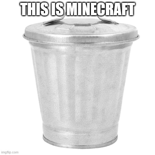 Trash can | THIS IS MINECRAFT | image tagged in trash can | made w/ Imgflip meme maker