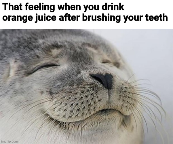 Satisfied Seal | That feeling when you drink orange juice after brushing your teeth | image tagged in memes,satisfied seal | made w/ Imgflip meme maker