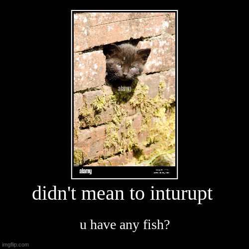 didn't mean to inturupt | u have any fish? | image tagged in funny,demotivationals | made w/ Imgflip demotivational maker