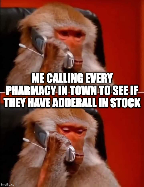 #adderallshortage | ME CALLING EVERY PHARMACY IN TOWN TO SEE IF THEY HAVE ADDERALL IN STOCK | image tagged in monkey on the phone | made w/ Imgflip meme maker