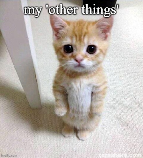 Cute Cat Meme | my 'other things' | image tagged in memes,cute cat | made w/ Imgflip meme maker