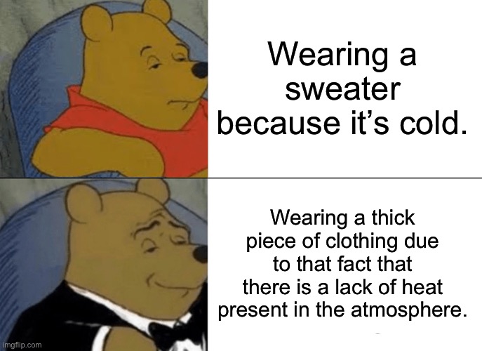 Tuxedo Winnie The Pooh Meme | Wearing a sweater because it’s cold. Wearing a thick piece of clothing due to that fact that there is a lack of heat present in the atmosphere. | image tagged in memes,tuxedo winnie the pooh | made w/ Imgflip meme maker