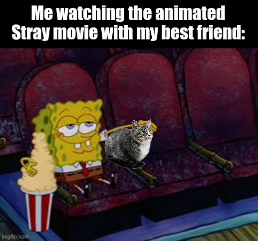 Stray | Me watching the animated Stray movie with my best friend: | image tagged in stray game,video games,movies,spongebob,meme,stray | made w/ Imgflip meme maker