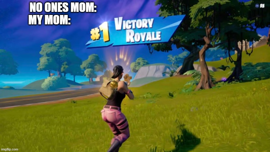 NO ONES MOM:
MY MOM: | image tagged in fortnite | made w/ Imgflip meme maker