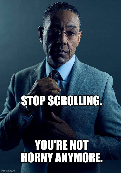 10 upvotes and this goes into the Horny stream | STOP SCROLLING. YOU'RE NOT HORNY ANYMORE. | image tagged in gus fring we are not the same | made w/ Imgflip meme maker