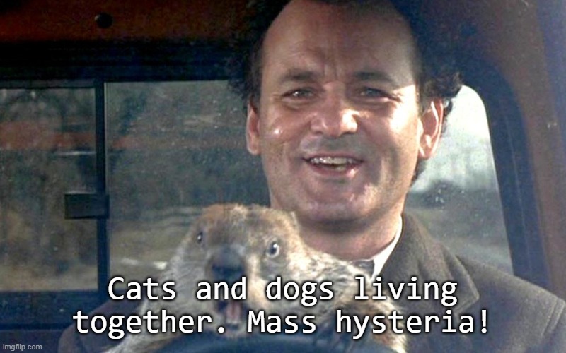 Groundhog Busters | Cats and dogs living together. Mass hysteria! | image tagged in groundhog day movie,subtitle substitute | made w/ Imgflip meme maker
