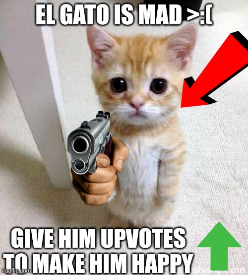 He is mad | EL GATO IS MAD >:(; GIVE HIM UPVOTES TO MAKE HIM HAPPY | image tagged in memes,cute cat | made w/ Imgflip meme maker