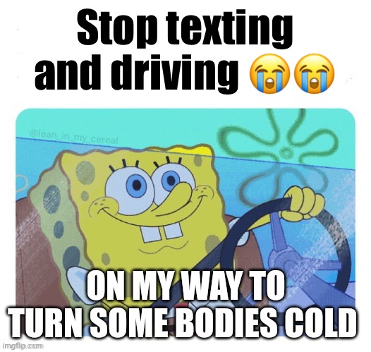 Stop texting and driving 😭😭 | made w/ Imgflip meme maker